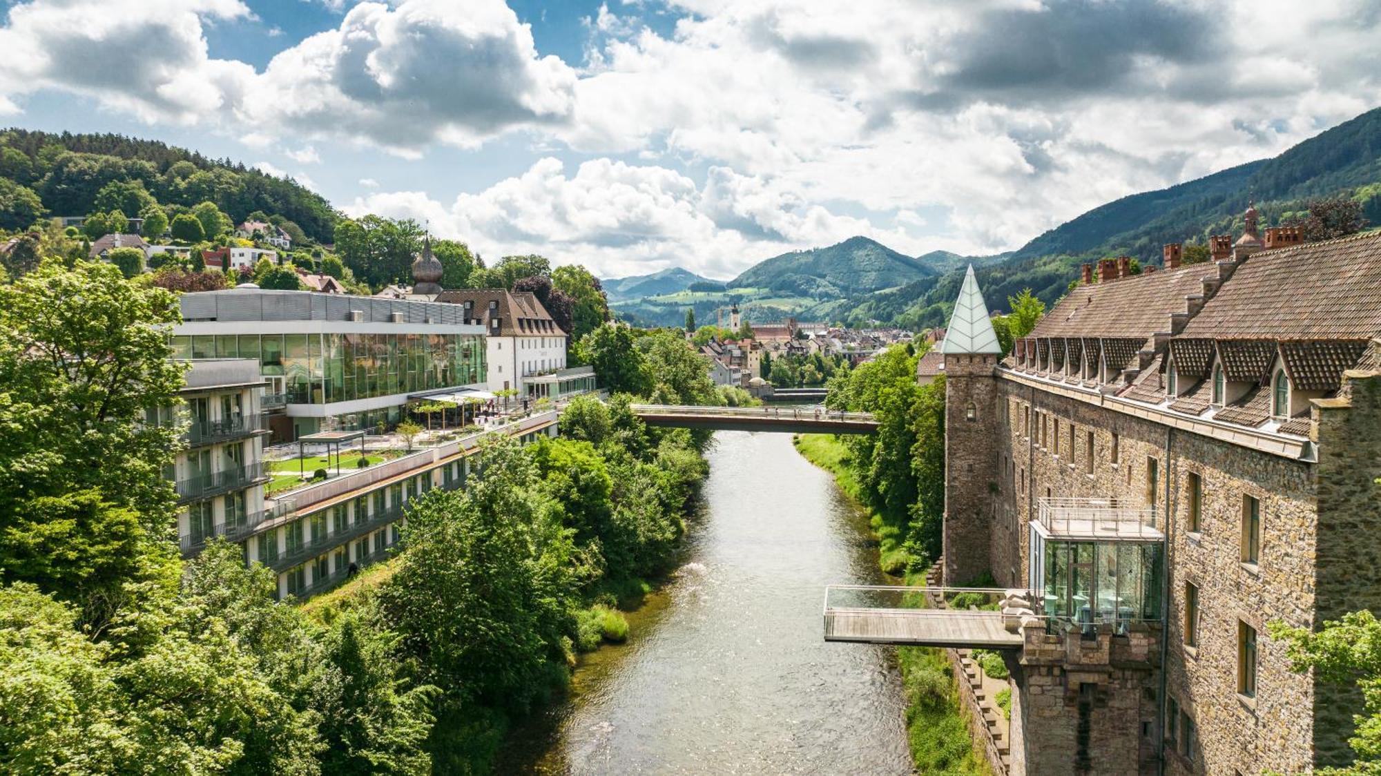 Das Schloss An Der Eisenstrasse Waidhofen an der Ybbs Exteriör bild